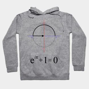 The most elegant equation Hoodie